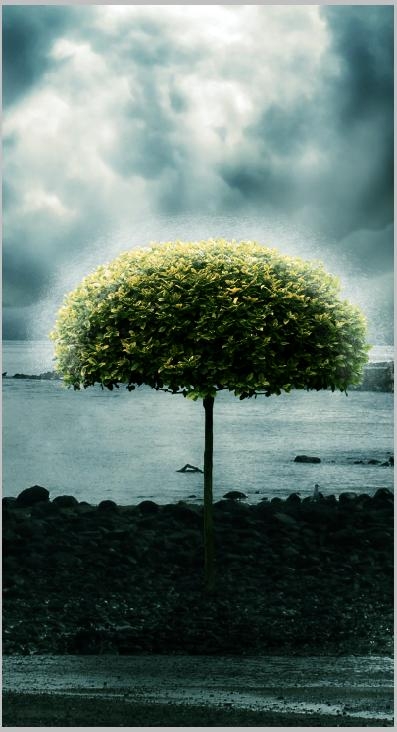 Creation of Nature Always Wins: Step 5